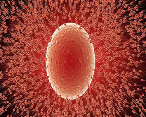 借卵咨询-女人34岁做试管成功率多高？