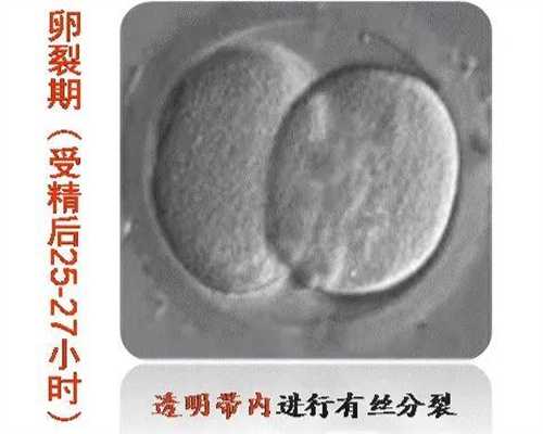 北京市和平里医院 北京市和平里医院试管代怀孕供卵费用