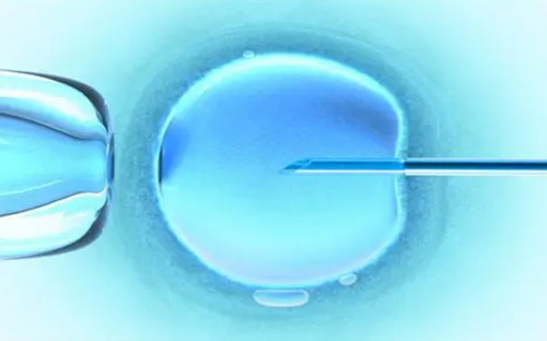 北京协和医院做试管婴儿生一对龙凤胎要多少钱？