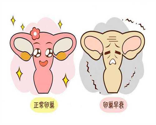 代孕宝宝地址-多囊卵巢综合征的B超表现是什么