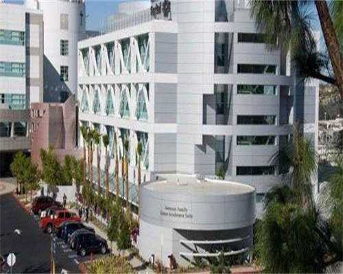 地中海贫血试管婴儿成功率_地中海贫血试管婴儿