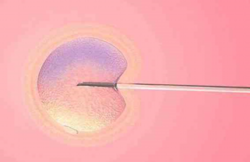 个人代怀产子-子宫壁太薄做试管成功几率？子宫壁太薄做试管成功几率有多大？