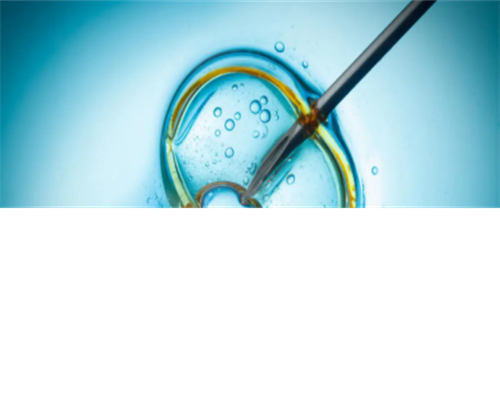 代生儿子收费-纵隔子宫孩子会畸形吗？纵隔子宫怎么办？