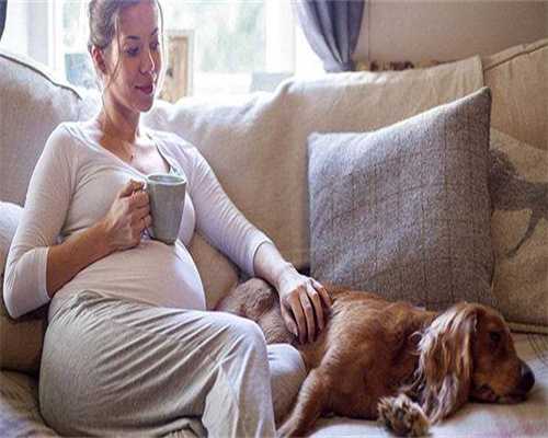 供卵公司咨询-一侧输卵管堵塞另一侧通畅会怀孕吗