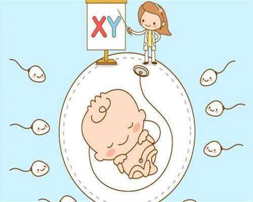 新乡试管婴儿医院(韶关不孕不育医院)