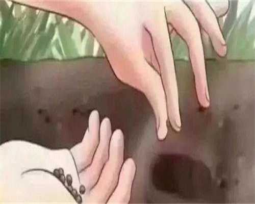 供卵产子流程-怀孕初期剧烈运动流产