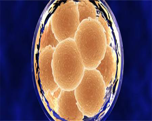 北京试管助孕生北京助孕宝宝