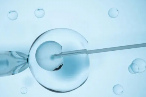 解答试管婴儿尿促针的作用，卵泡发育快全靠它