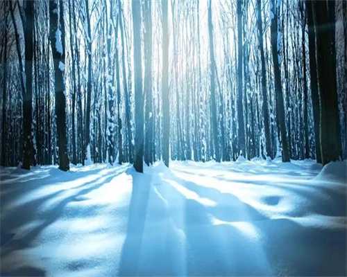 做试管婴儿抗核抗体1000