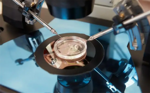 美国试管婴儿应该移植多少个胚胎