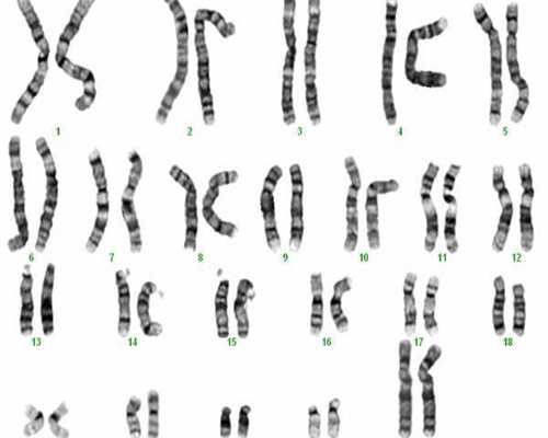 代生中介机构-第一次生化妊娠后再备孕注意事项，生化后隔月或当月同房不容易怀孕