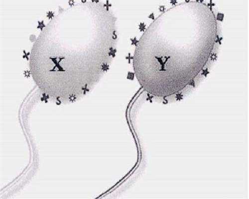 供卵公司咨询-怀孕初期应该选择哪种运动？