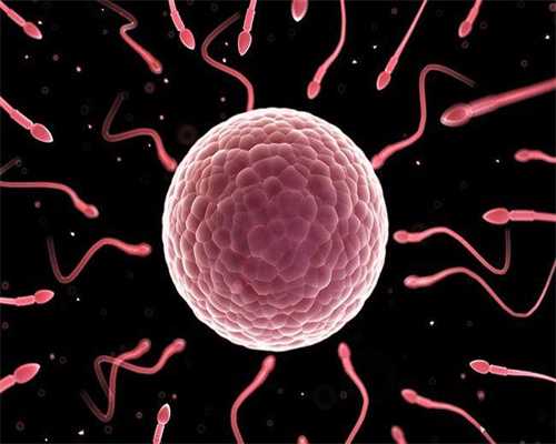 北京供卵机构名单,北京三代试管私立医院费用？北京三代试管私立医院费用高