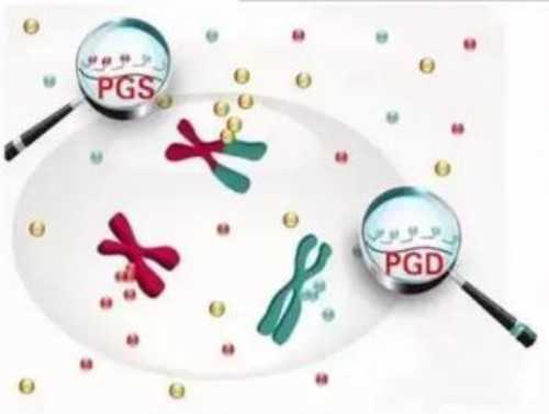 北京借卵生子机构排名,附各大医院卵源等待时间！