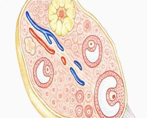 北京借精试管代生,北京第三代试管婴儿成功率
