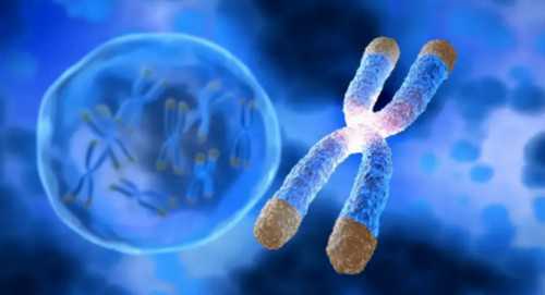 北京三代代生包男孩医院 北京三代代生包男孩最好的医院