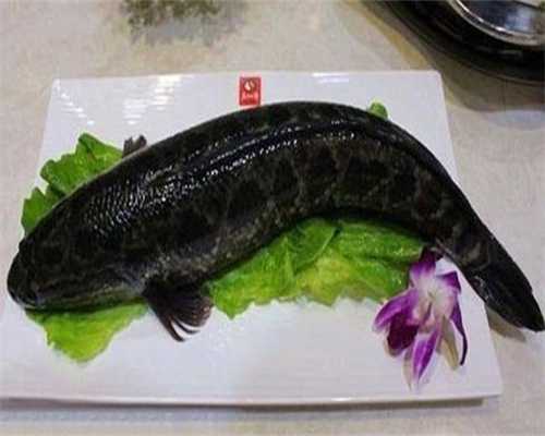 借卵咨询-有地中海贫血能做试管婴儿吗？