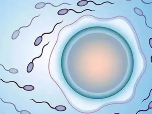 北京助孕宝宝湿疹会自愈吗