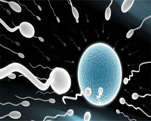 流产多久可以准备第三代试管？流产后多久可以要二胎？