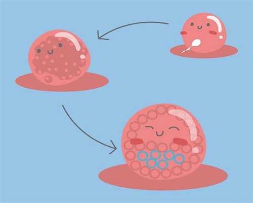 沈阳三代试管包男孩,[普及一下]石家庄双侧输卵管切除能做试管吗