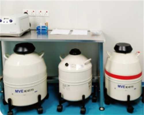 北京同性恋可以去做试管婴儿吗