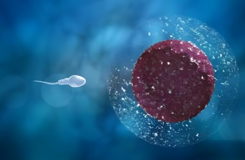 北京私立医院三代试管婴儿选择性别靠谱吗？，附北京私立医院名单