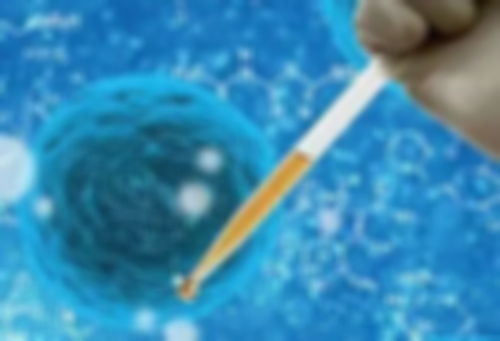 代生公司价格-融合胚胎移植成功率，融合期胚胎移植好不好？