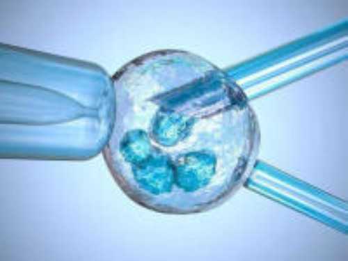 北京供卵的条件,2026北京的格鲁吉亚试管婴儿中介最有名的是哪些(格鲁吉亚试管