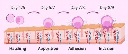 北京解放军海军总医院辅助生殖中心哪个医生好？