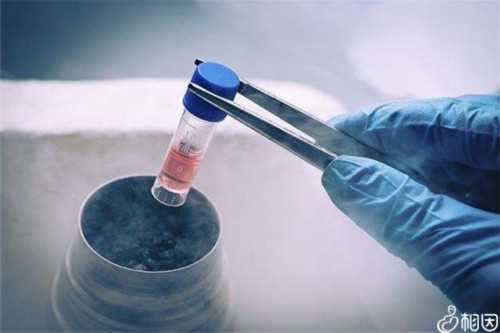 代生儿子收费-48岁自卵试管能成功吗？