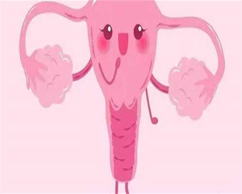 代生子包男孩-一侧输卵管通畅有备孕成功的吗？一侧输卵管不通畅会怎么样