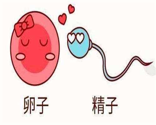 做代生费用-试管双胞胎可以顺产吗？