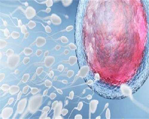 北京试管包生男孩,北京10大助孕机构,附费用明细!