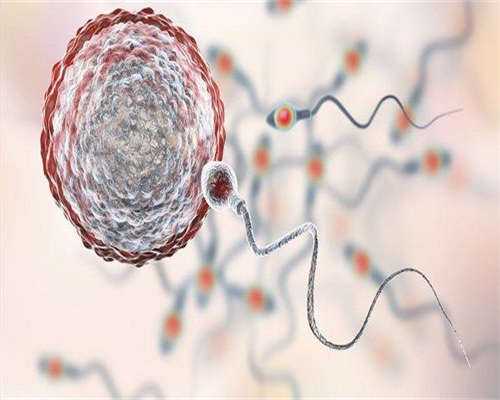 北京最大的助孕公司，存在乱收费的情况吗？