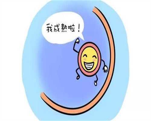 代生儿子收费-试管婴儿中促排起到什么作用？