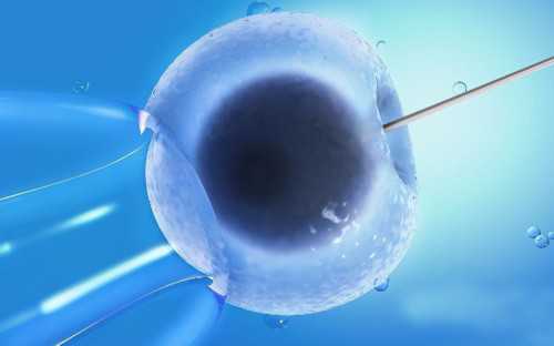 北京试管助孕借卵生子公司排行榜