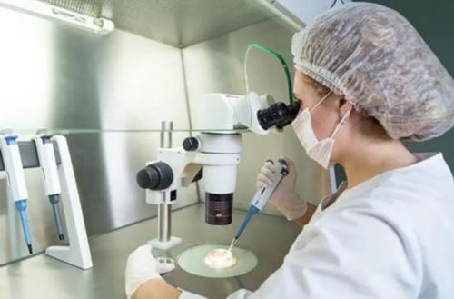 代生包儿子-科普：多囊卵巢综合症做试管成功率高吗？