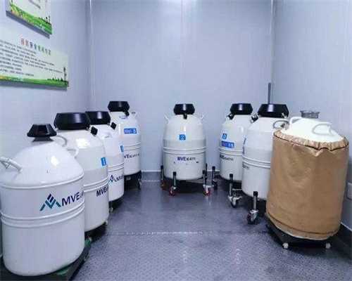 代生妈妈qq北京医院排名：北京的代生妈妈qq医院哪个好