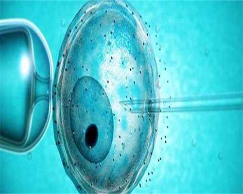 供卵产子公司-胎停和弱精有关系吗