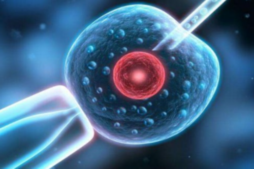 借卵咨询-地中海贫血可以做试管婴儿吗？