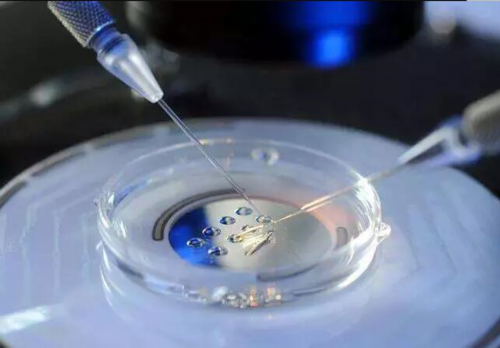 代生子包男孩-卵巢多囊样多变严重吗