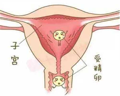 北京想要宝宝代孕网_哺乳期可以吃空心菜吗